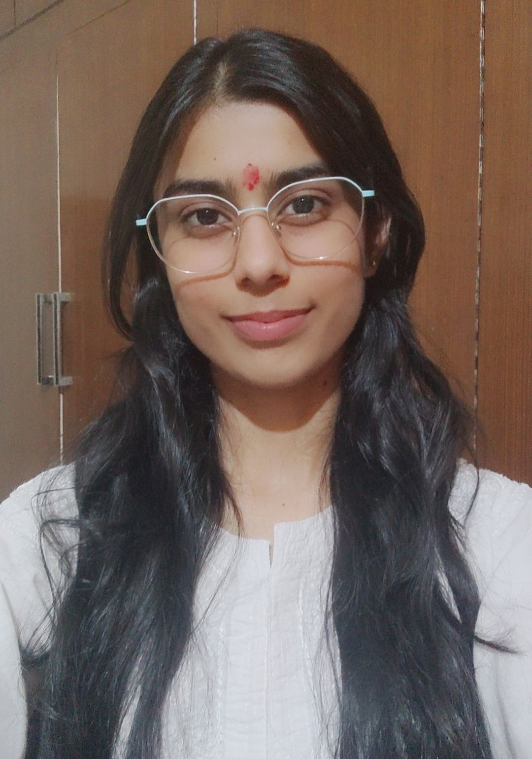 Anshika pahal portfolio